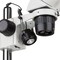 Amscope 20X-40X Super Widefield Top & Bottom LED Lights Pillar Stand Stereo Microscope SW-2B24-LED-V331 - alternate 2